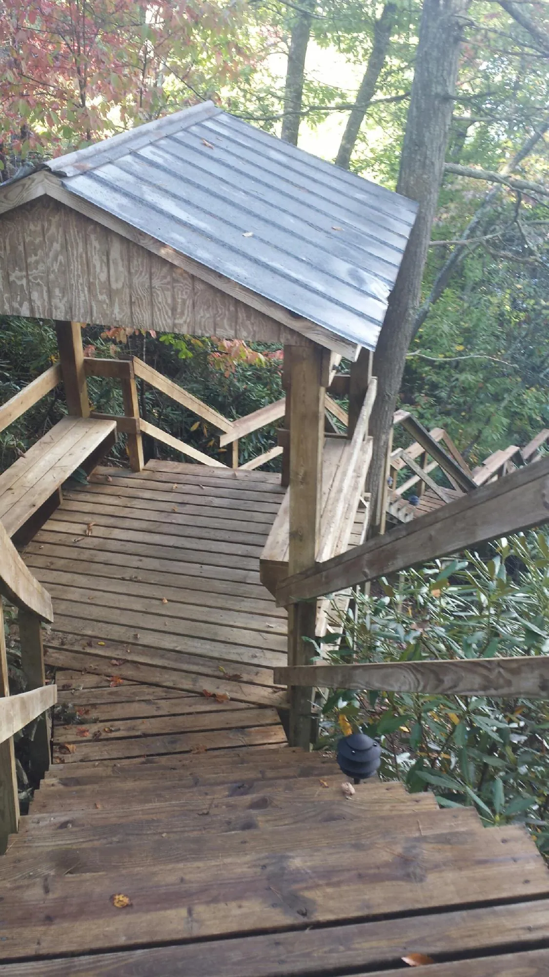 Metal roofed shelter over wooden steps on a wooded walkway — Skylight Repair & Installation work by our crew in Oak Harbor